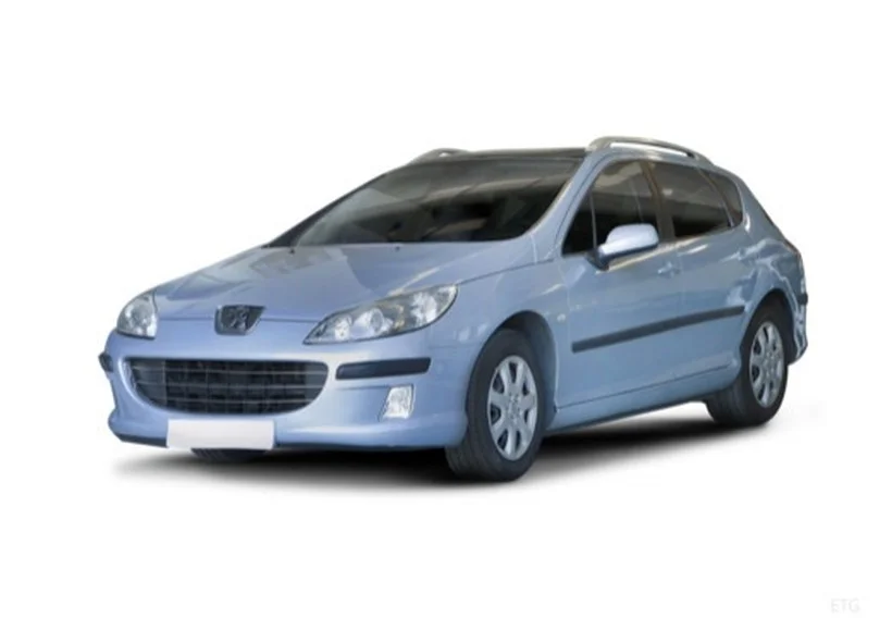Peugeot 407 kombi 2004-2010 lyžiny